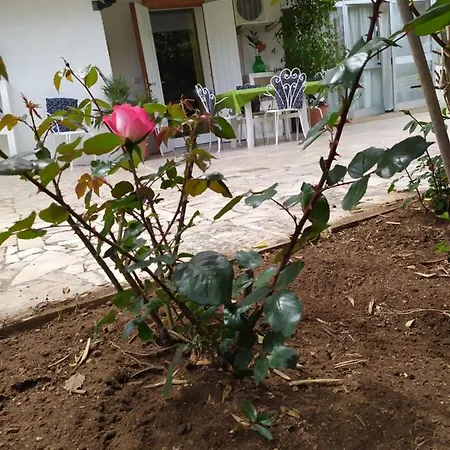 Casa Dei Sospiri Appartement Polignano a Mare Buitenkant foto